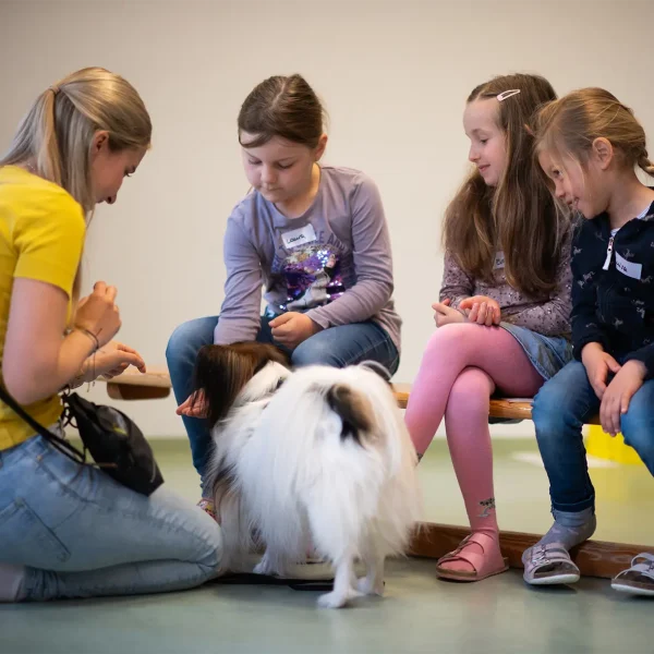 hunde-workshop-kindergarten